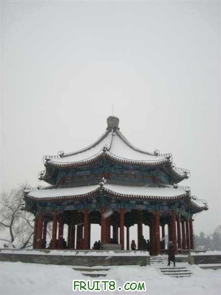 DSC05139 ().JPG