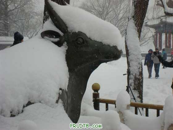 DSC05122 ().JPG