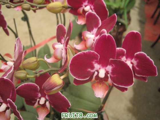 ������ (1).jpg