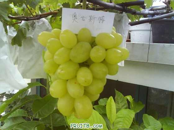 DSC01225.JPG