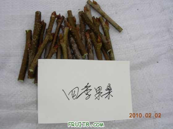DSCN5149.JPG