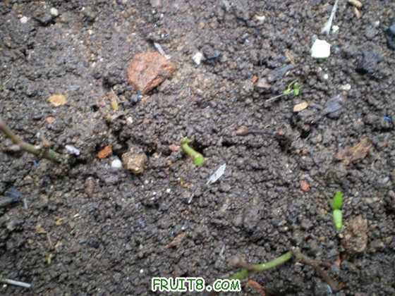 P2030014 (С��).JPG