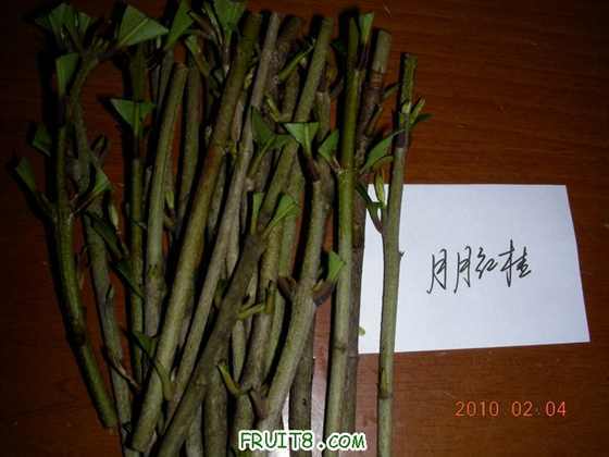 DSCN5183.JPG