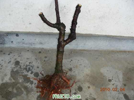 DSCN5197.JPG