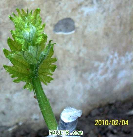 201024գúܿŶ
