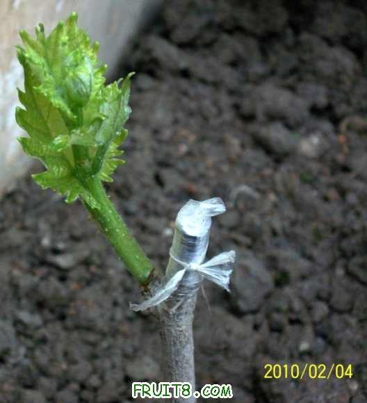 201024