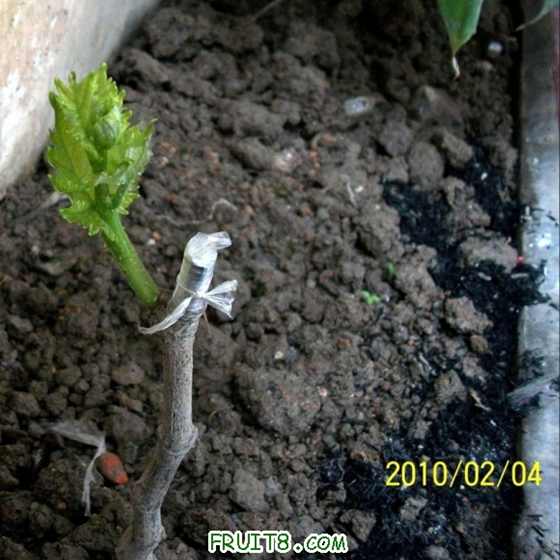 201024