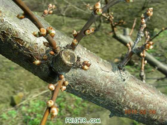 DSCN5240.JPG