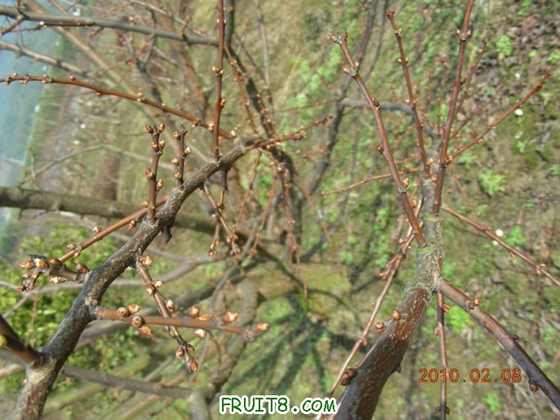 DSCN5248.JPG