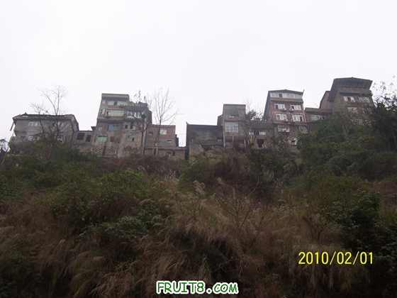 nEO_IMG_100_7240.jpg
