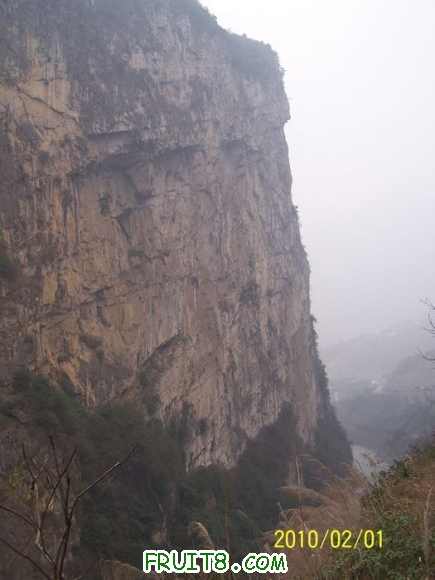 nEO_IMG_100_7239.jpg