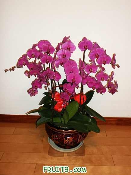 P2080711.JPG
