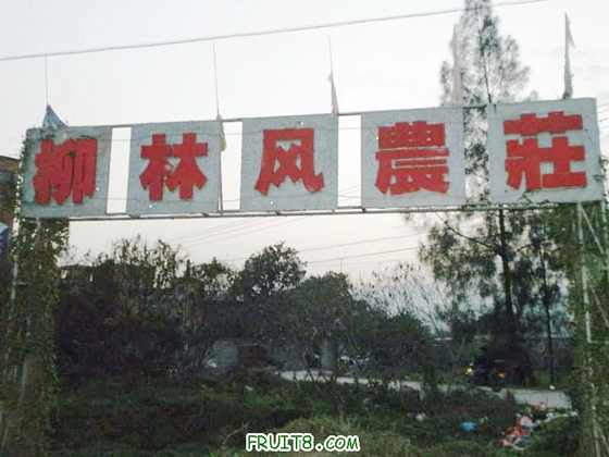 P2080610.JPG