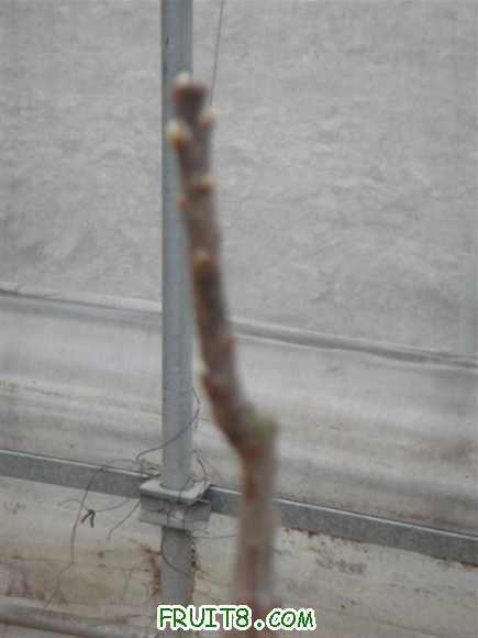 DSC00671 (С��).JPG