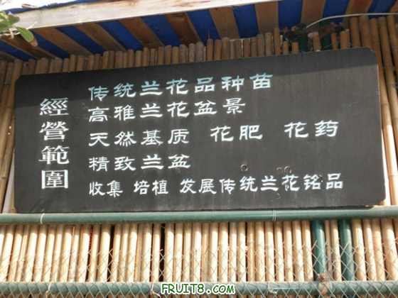 P2080309.JPG