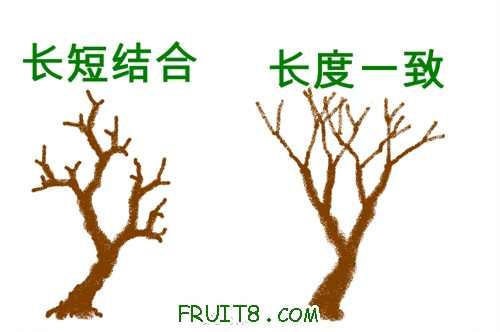 һ볤̽.jpg
