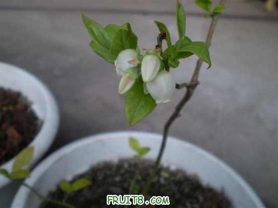 P2110040 (С��).JPG