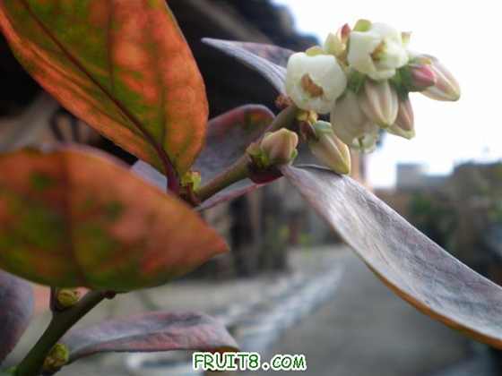 P2110051 (С��).JPG