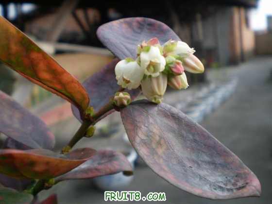 P2110050 (С��).JPG