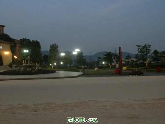 P2080636.JPG