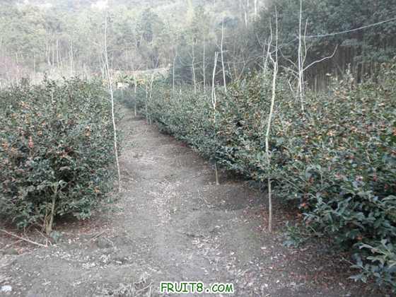 P2090826.JPG