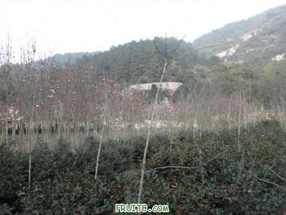 P2090836.JPG