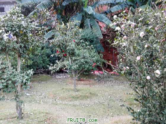 P2091026.JPG
