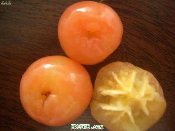 Ҷӣ1.jpg