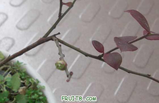 ��ʼ�е��ȶ�