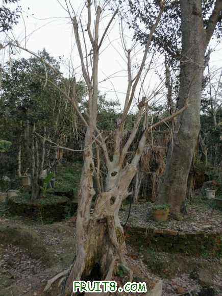 P2080540.JPG