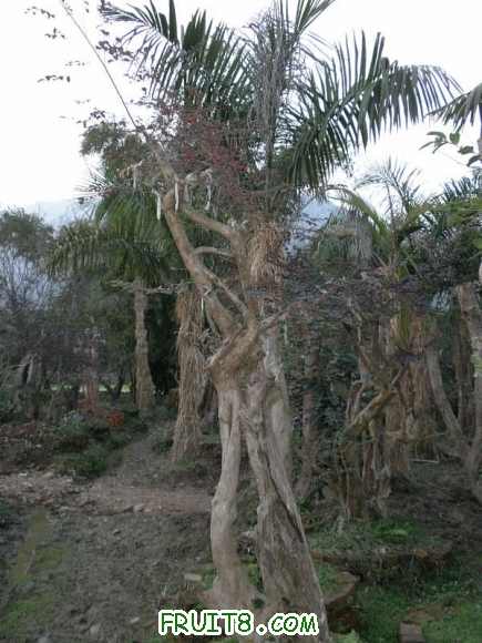P2080562.JPG