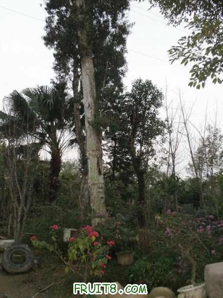 P2080580.JPG