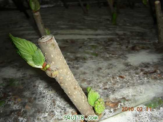 DSCN5395.JPG