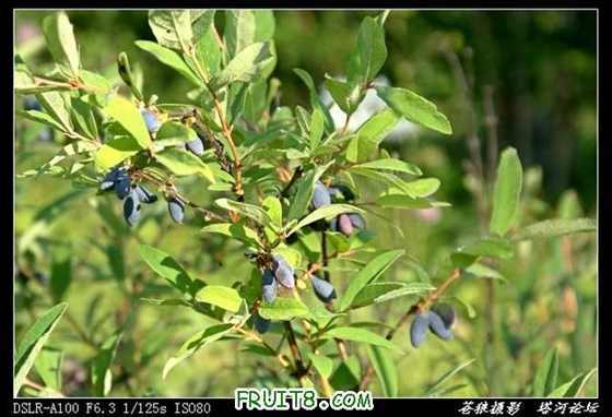 69_8_feec4920770a7db.jpg