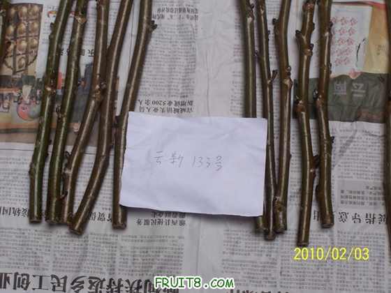 nEO_IMG_100_7322.jpg