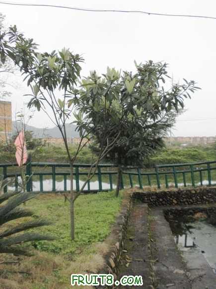 P2181710.JPG