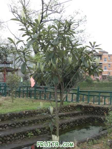 P2181725.JPG