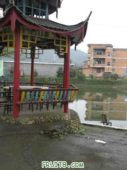 P2181727.JPG