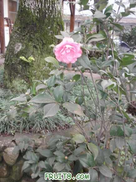 P2181804.JPG
