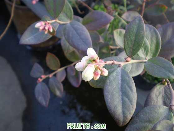 P2200041 (С��).JPG