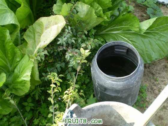 P2200008 (С��).JPG