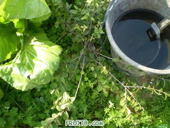 P2200007 (С��).JPG