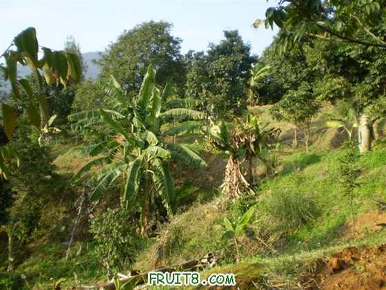 P2200030 (С��).JPG