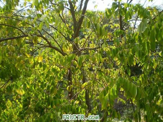 P2200028 (С��).JPG