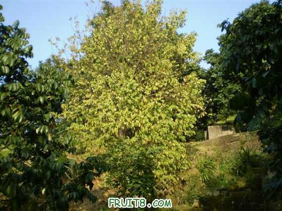 P2200032 (С��).JPG