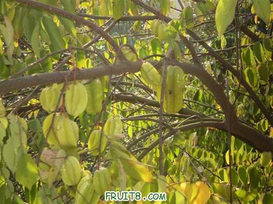 P2200029 (С��).JPG