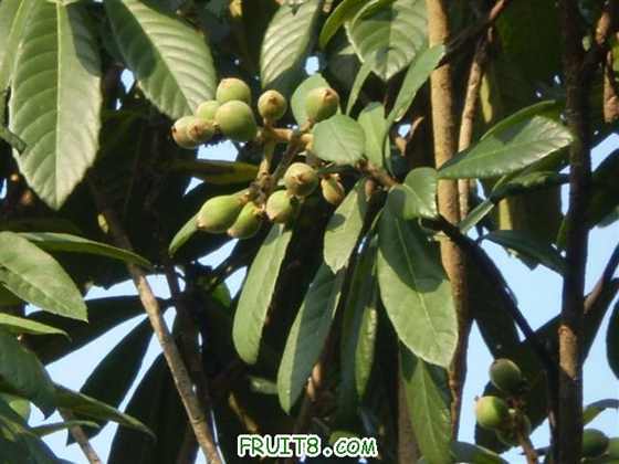 P2200027 (С��).JPG