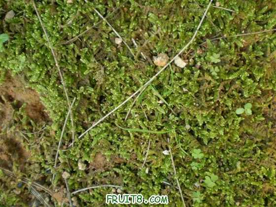 P2200038 (С��).JPG