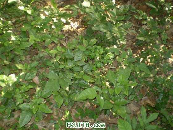 P2200035 (С��).JPG