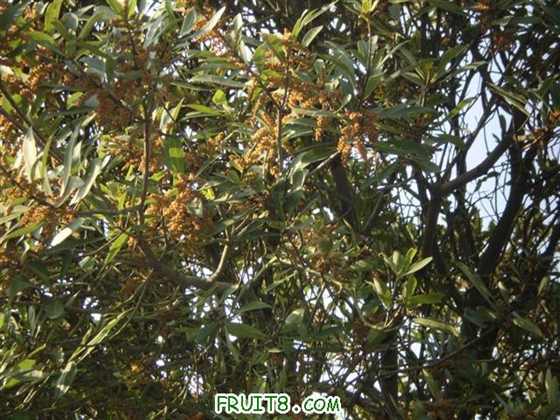 P2200033 (С��).JPG